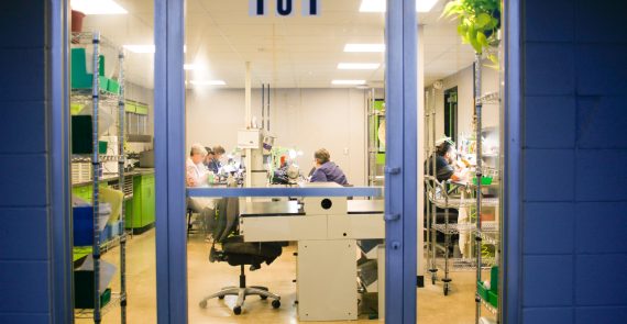 looking through glass door into business