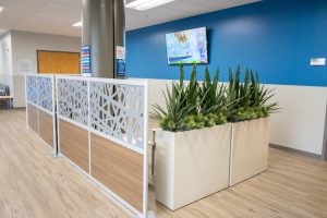 Emergency Department lobby renovation